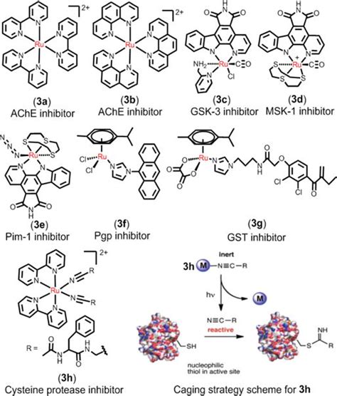 The development of anticancer ruthenium(II) complexes: from single.